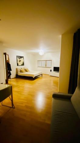 Pronájem bytu 1+kk, Praha - Žižkov, Jeseniova, 67 m2