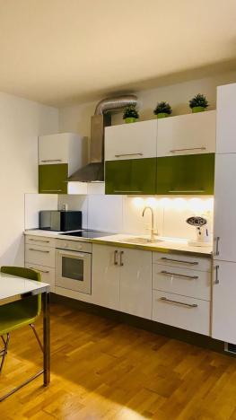 Pronájem bytu 1+kk, Praha - Žižkov, Jeseniova, 67 m2