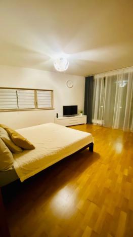 Pronájem bytu 1+kk, Praha - Žižkov, Jeseniova, 67 m2