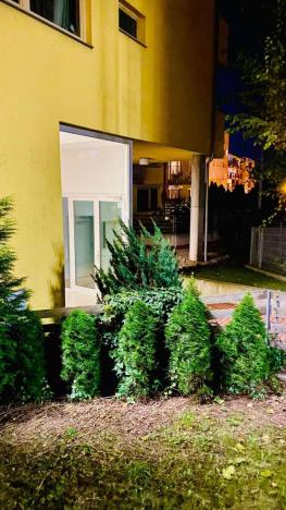 Pronájem bytu 1+kk, Praha - Žižkov, Jeseniova, 67 m2