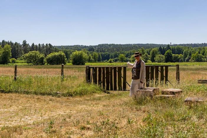 Prodej louky, Doksy, 46765 m2