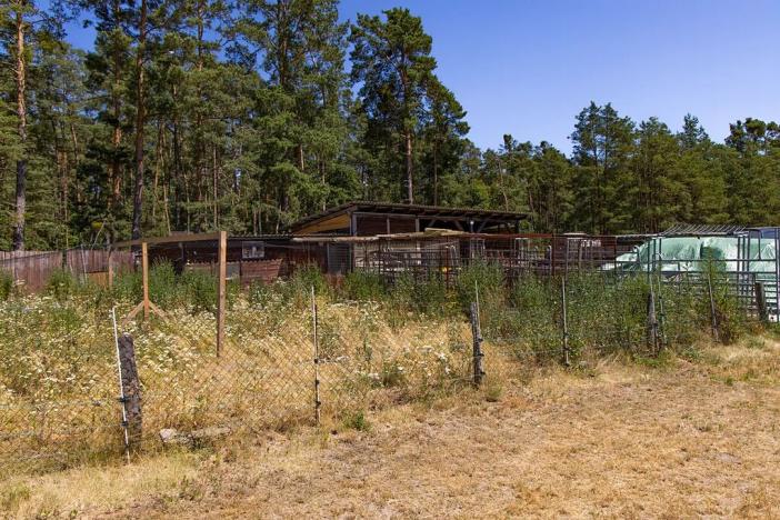 Prodej louky, Doksy, 46765 m2