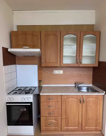 Pronájem bytu 1+1, Plzeň, Brněnská, 40 m2