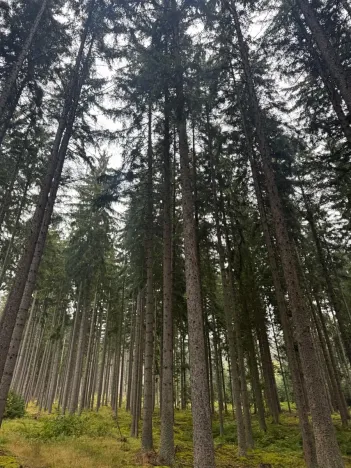 Prodej podílu pole, Nicov, 2230 m2