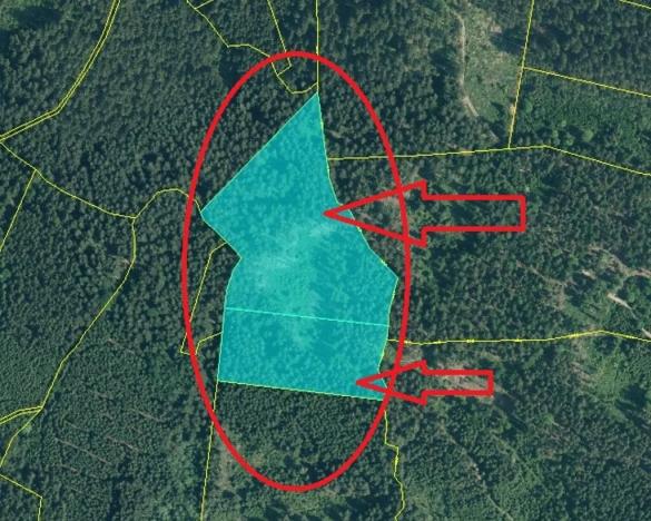 Prodej podílu pole, Nicov, 2230 m2