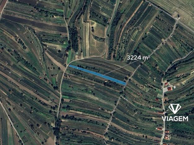 Prodej podílu pole, Mutěnice, 604 m2