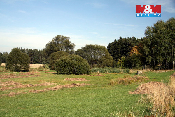 Prodej lesa, Petrovice - Žemličkova Lhota, 3719 m2