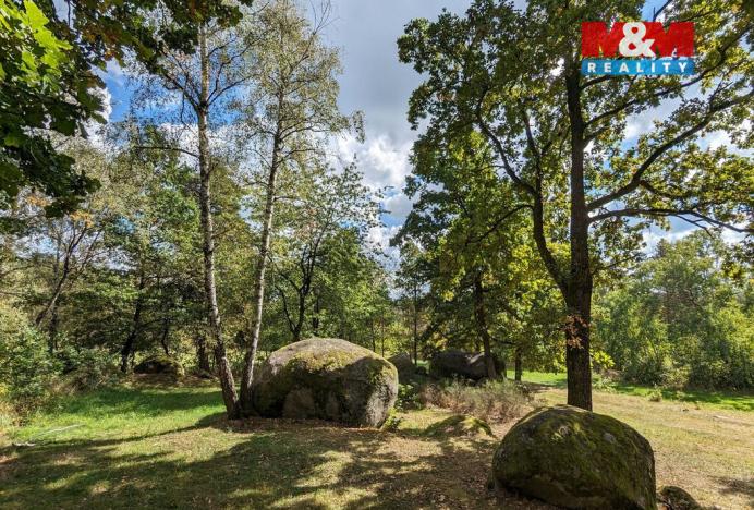 Prodej lesa, Petrovice - Žemličkova Lhota, 3719 m2