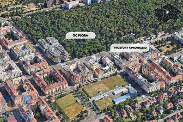 Pronájem obchodního prostoru, Praha - Vinohrady, Chrudimská, 360 m2