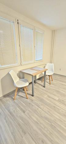 Pronájem bytu 1+kk, Pardubice - Polabiny, Nová, 32 m2