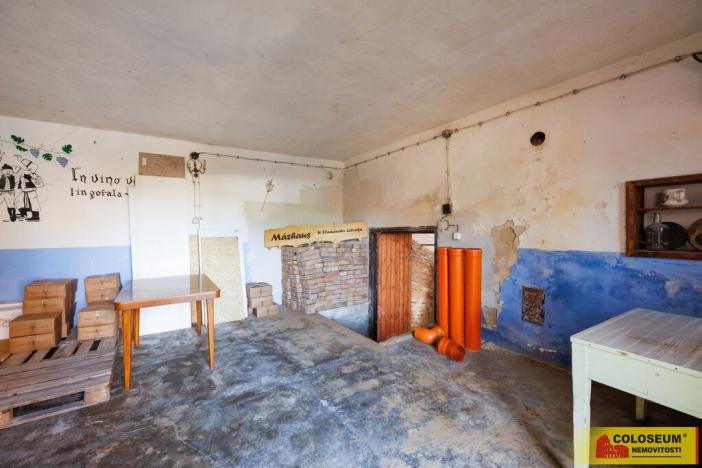 Prodej - jiné, Nový Šaldorf-Sedlešovice - Nový Šaldorf, 145 m2