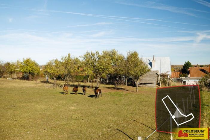 Prodej - jiné, Nový Šaldorf-Sedlešovice - Nový Šaldorf, 145 m2