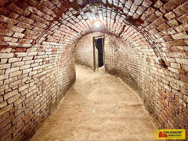 Prodej - jiné, Nový Šaldorf-Sedlešovice - Nový Šaldorf, 145 m2