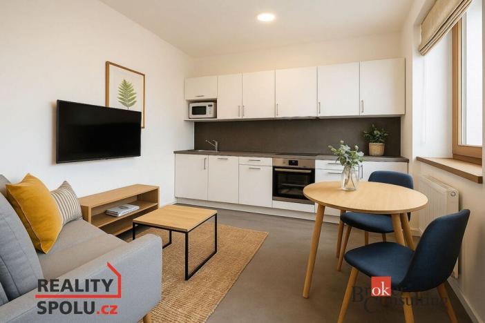 Pronájem bytu 1+kk, Světnov, 37 m2