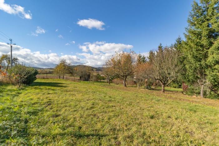 Prodej pozemku pro bydlení, Žichovice, 2306 m2