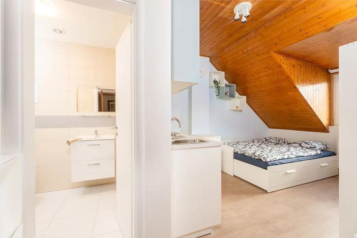 Prodej bytu 1+kk, Praha - Krč, Čerčanská, 19 m2