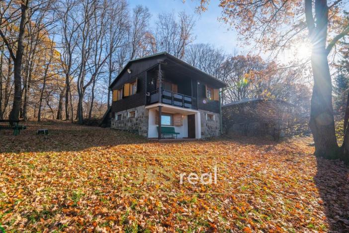 Prodej chaty, Tvarožná Lhota, 80 m2