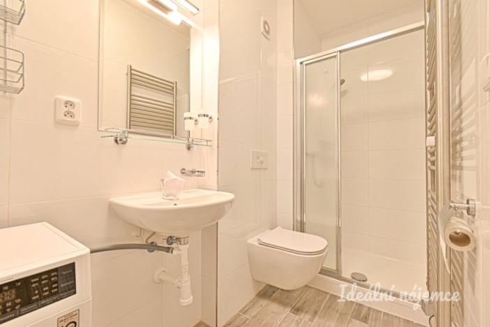 Pronájem bytu 1+1, Brno - Židenice, Škroupova, 38 m2