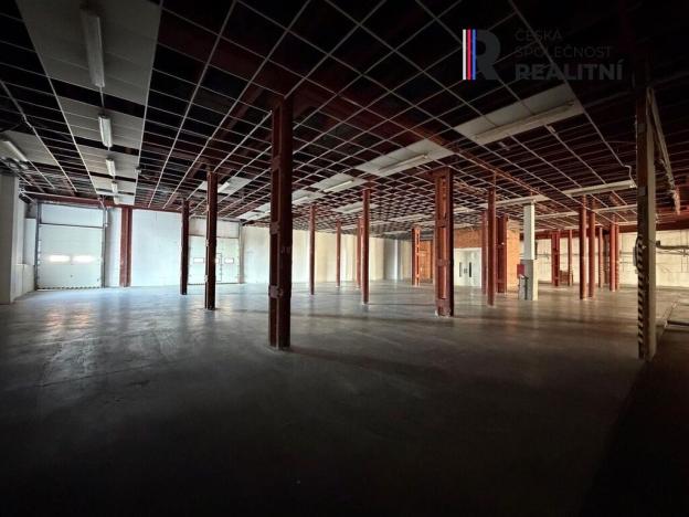 Pronájem výrobních prostor, Dolní Rychnov, Bergmannova, 5000 m2
