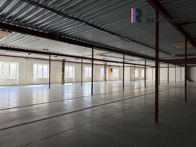 Pronájem výrobních prostor, Dolní Rychnov, Bergmannova, 5000 m2