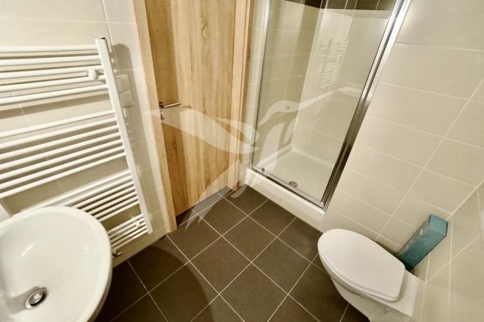 Pronájem bytu 1+kk, Plzeň, Nemocniční, 29 m2