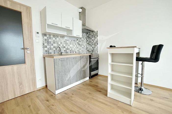 Pronájem bytu 1+kk, Plzeň, Nemocniční, 29 m2