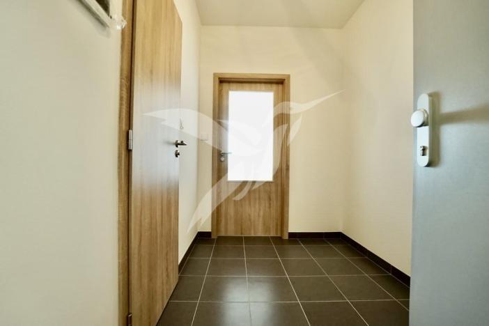 Pronájem bytu 1+kk, Plzeň, Nemocniční, 29 m2