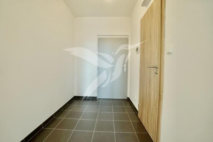 Pronájem bytu 1+kk, Plzeň, Nemocniční, 29 m2