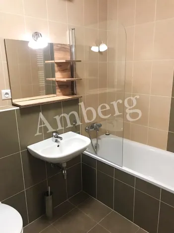 Pronájem bytu 2+kk, Praha - Žižkov, Olgy Havlové, 54 m2