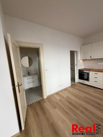 Pronájem bytu 2+kk, Brno - Veveří, Sušilova, 59 m2