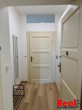 Pronájem bytu 2+kk, Brno - Veveří, Sušilova, 59 m2