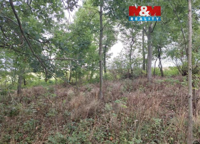 Prodej pole, Bystřice, 163 m2