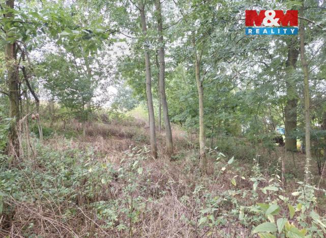 Prodej pole, Bystřice, 163 m2