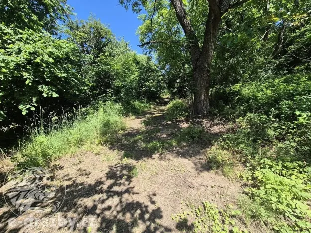 Dražba pozemku pro bydlení, Ondřejov, 4244 m2