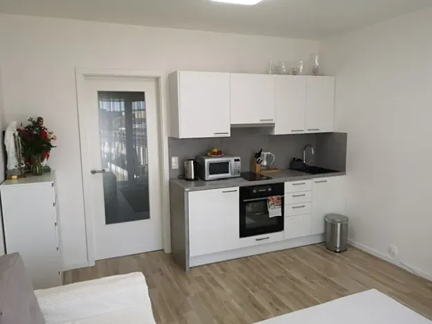 Pronájem bytu 1+kk, Praha - Libeň, Novovysočanská, 25 m2