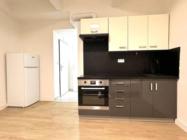 Pronájem bytu 1+kk, Praha - Nusle, Na bitevní pláni, 25 m2