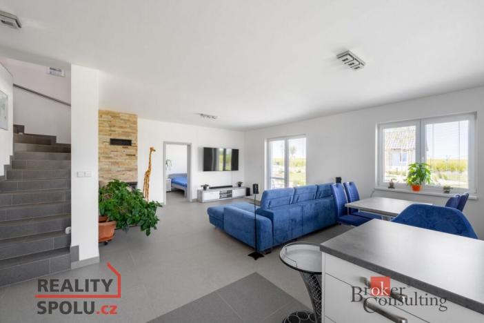 Prodej rodinného domu, Brandýsek, Nad Vodojemem, 392 m2