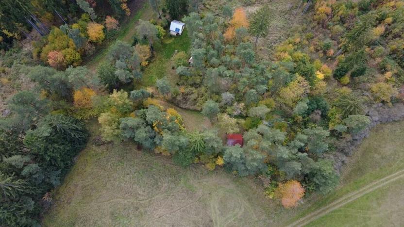 Prodej pozemku pro bydlení, Planá, 391 m2