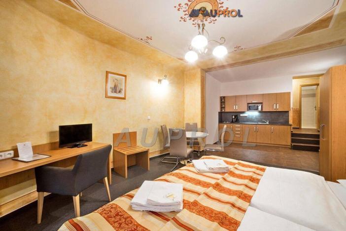 Prodej ubytování, Český Krumlov - Vnitřní Město, Široká, 400 m2