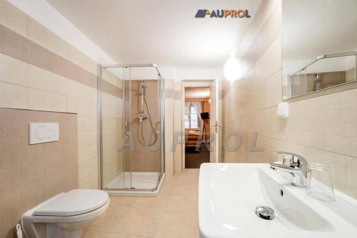 Prodej ubytování, Český Krumlov - Vnitřní Město, Široká, 400 m2