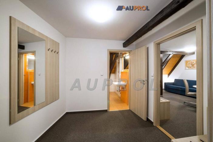 Prodej ubytování, Český Krumlov - Vnitřní Město, Široká, 400 m2