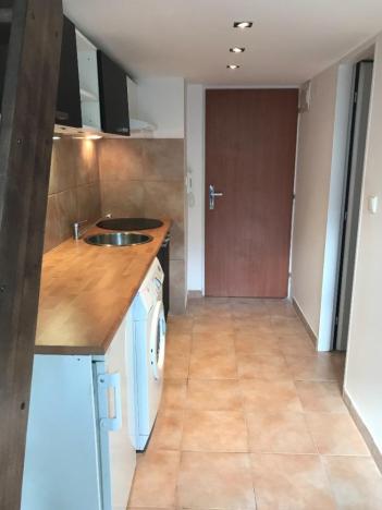 Pronájem bytu 1+kk, Praha - Vysočany, Freyova, 25 m2