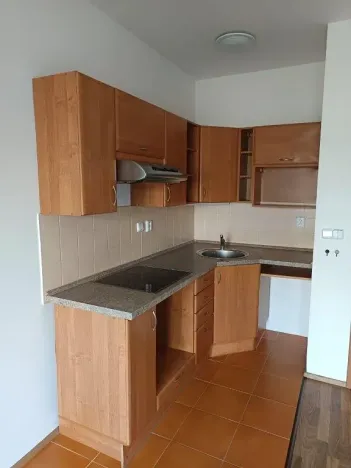 Pronájem bytu 2+kk, Brno, Francouzská, 45 m2