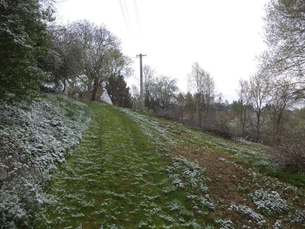 Dražba pozemku pro bydlení, Benešov nad Černou, 2520 m2