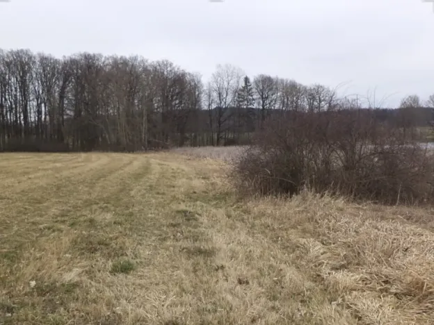 Dražba louky, Dříteň, 1815 m2