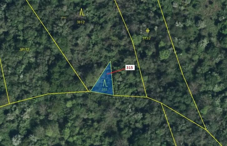 Dražba lesa, Podhořany u Ronova, 129 m2