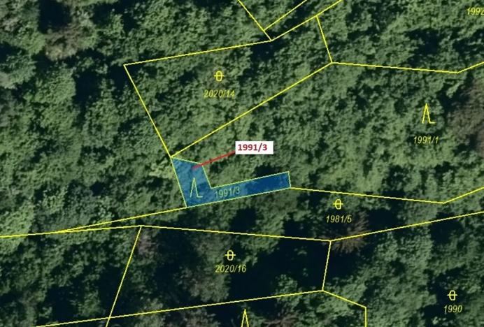 Dražba lesa, Hovězí, 115 m2