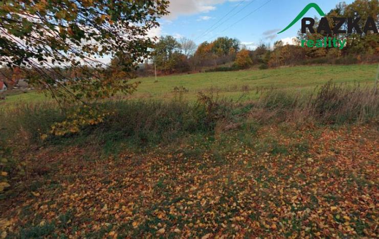 Prodej pozemku, Nalžovské Hory, 14996 m2