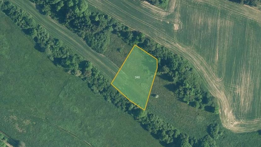 Prodej louky, Mohelnice, 17050 m2