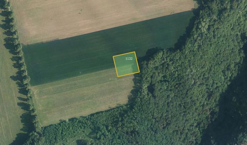 Prodej louky, Vavřinec, 16163 m2